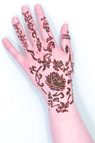 Henna tattoo/body art course